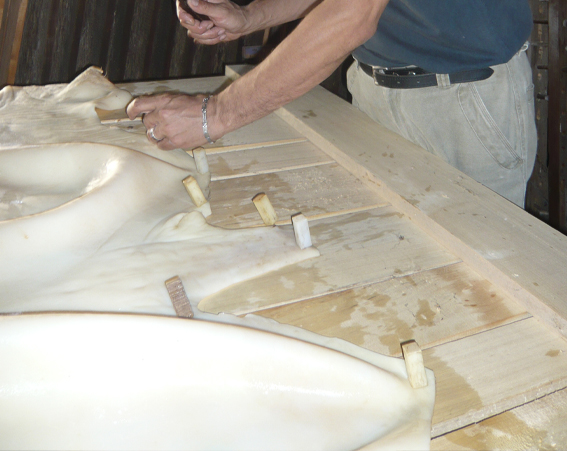 Enluminure Arthur & Lancelot f°1 v. plan de fuite « paysage »