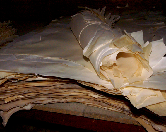 Enluminure Arthur & Lancelot f°1 v. plan de fuite « paysage »