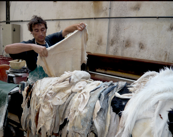 Enluminure Arthur & Lancelot f°1 v. plan de fuite « paysage »