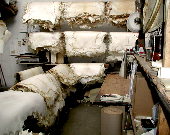 Enluminure Arthur & Lancelot f°1 v. plan de fuite « paysage »