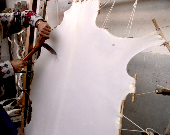 Enluminure Arthur & Lancelot f°1 v. plan de fuite « paysage »