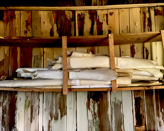 Enluminure Arthur & Lancelot f°1 v. plan de fuite « paysage »